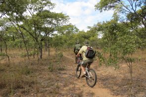 Need a breath of fresh air? Enjoy a healthy walk, run or mountain bike ride through the Mukuvisi Woodlands! 